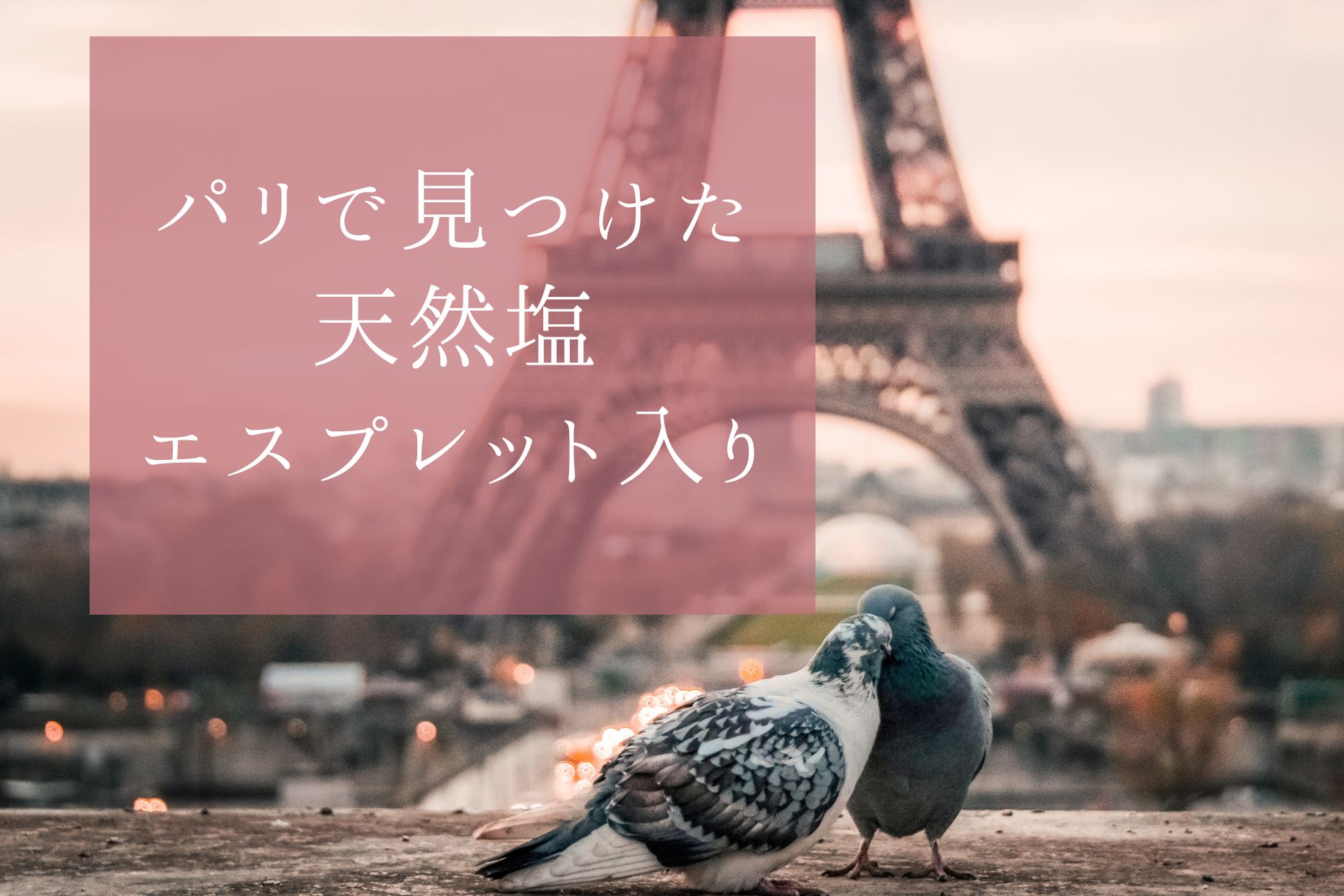 【フルールドセル】フランス・パリのMonoprixでやっと再会できた日本では買えないエスプレット唐辛子入りフルールドセル。