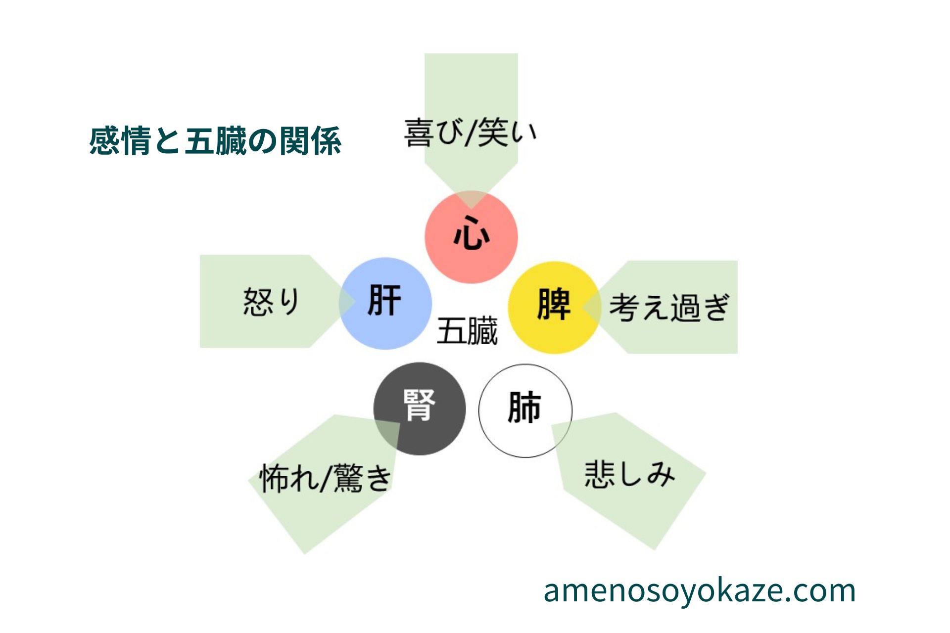 五臓六腑に沁みわたたる – 五臓六腑の覚え方 | よく使われる10万語 – XLLLH