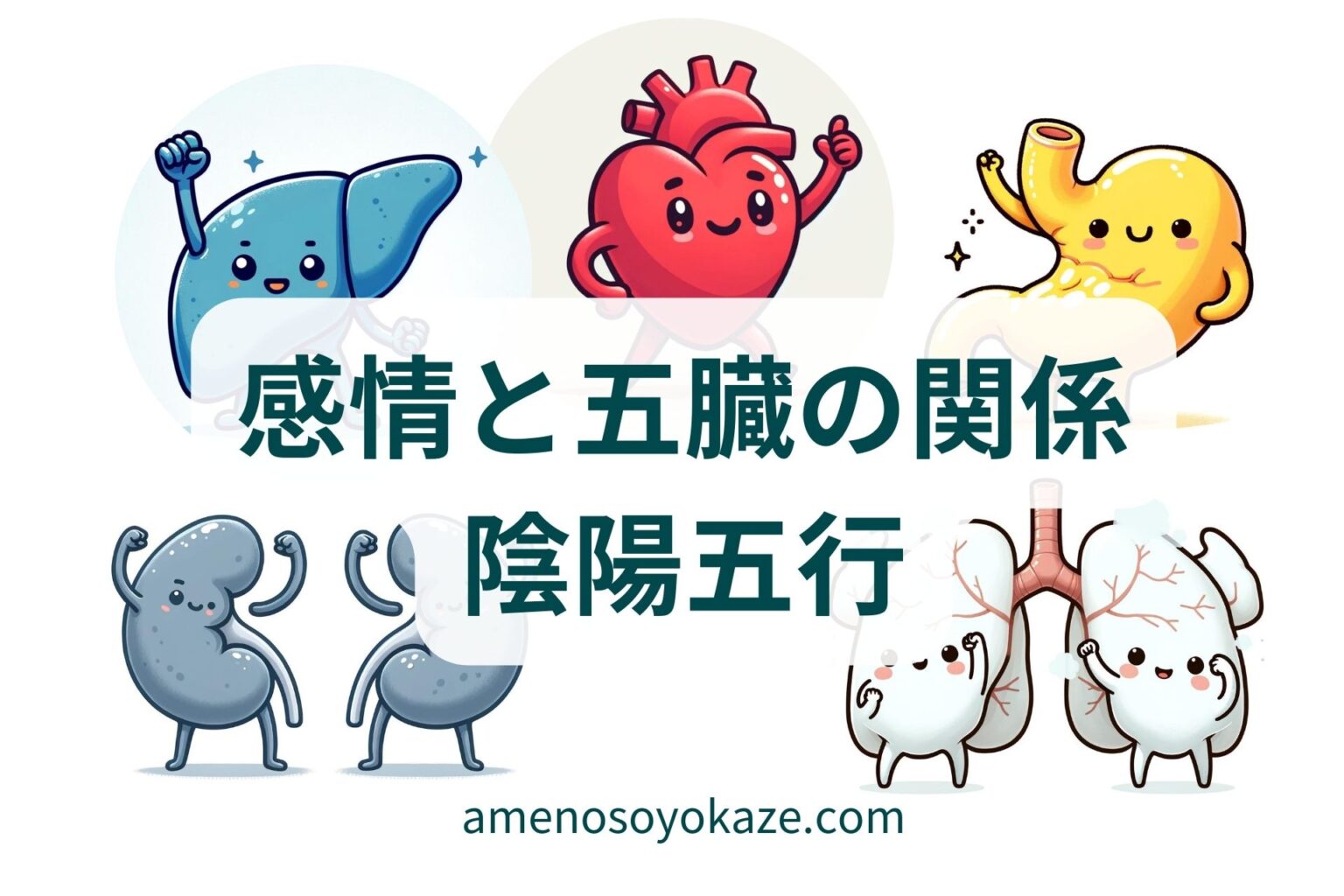 感情と五臓六腑の関係。感情ケアで心と体を健やかにする方法 | あめのそよかぜ